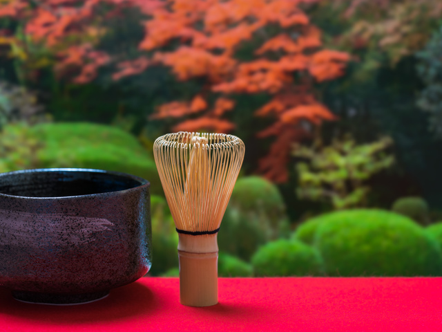 美しく見通しの良いサイト